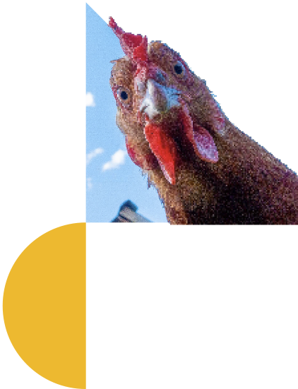 poioi eimaste image1